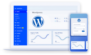 طراحی سایت وردپرسی